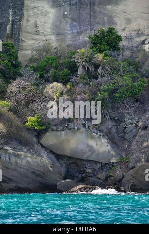 Frankreich, Insel Mayotte (französische überseeische Departements), Petite Terre, White tailed tropicbird (Phaethon Lepturus) Stockfoto