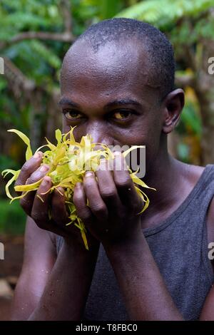 Frankreich, Insel Mayotte (französische überseeische Departements), Grande Terre, Ouangani, Ätherisches Öl Ylang Ylang Brennerei auf der Basis von Blüten (Cananga odorata) in artisan Alembic, Hassani Soulaimana co Leader des Aromaore Stockfoto
