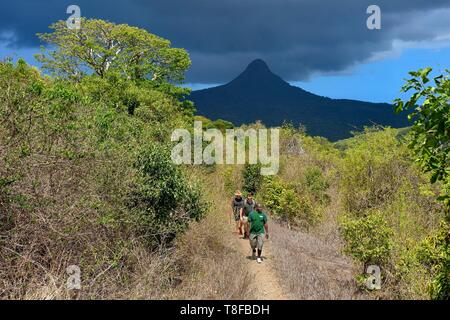 Frankreich, Insel Mayotte (französische überseeische Departements), Grande Terre, M'Tsamoudou, Saziley Landspitze, Wanderer auf der langen Distanz Wanderweg rund um die Insel und den Berg Choungui im Hintergrund gehen Stockfoto