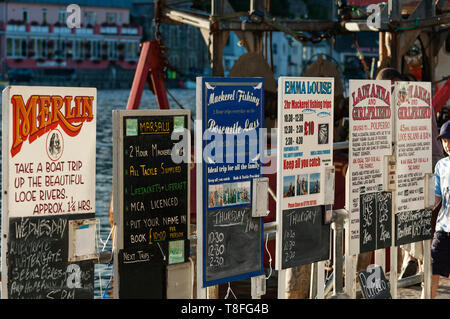 Angeltour Werbeflächen in Looe Hafen Cornwall GROSSBRITANNIEN Stockfoto