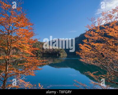 Chile, Araucania, Huerquehue Nationalpark, Reflexionen über San Manuel See Stockfoto