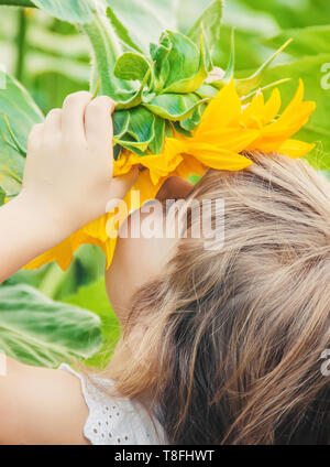 Kind im Bereich der Sonnenblumen ist ein kleiner Bauer. Selektive konzentrieren. Stockfoto