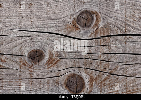 Textur Foto von Grau, abgenutzt und schäbig, alt und Risse im Holz, das der Witterung ausgesetzt war und Sun für die Jahre und das zeigt, Knoten und Jahrringe. Stockfoto