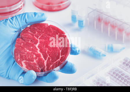 Fleisch Probe in offenen wiederverwendbare Zellkulturschale im modernen Labor oder Produktion. Konzept der sauberen Fleisch in vitro kultiviert aus einem Stockfoto