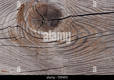 Verwitterte Holz Hintergrund: distressed Farbe auf einem alten Holzzaun