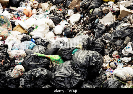 Garbage Gruben in Feldern mit Schmutz und Gestank. Stockfoto