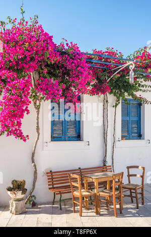 Weiße Haus Fassade mit traditionellen blauen Fenstern und Blumen auf Andros, Kykladen Stockfoto