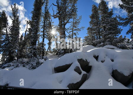 Schnee-Szene Stockfoto