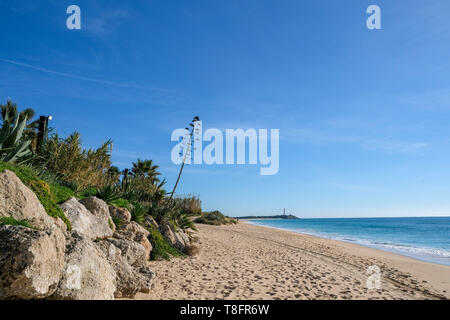 Blick entlang der Playa Zahora Strand in Richtung Faro de Trafalgar Leuchtturm, Andalusien, Spanien. Die historische Schlacht von Trafalgar nahm gerade Offshore hier platzieren. Stockfoto