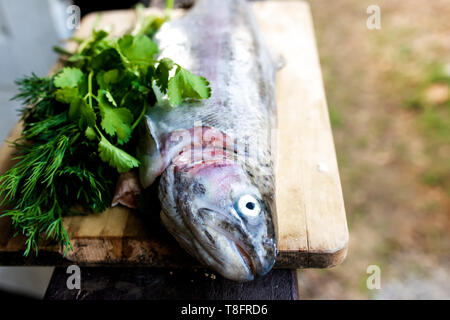 Forellen fischen und Grüns auf Schneidebrett auf unscharfen Hintergrund Stockfoto