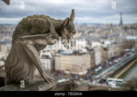 Wasserspeier auf die Kathedrale Notre Dame, Paris, Frankreich. Notre Dame - Paris, Frankreich Stockfoto