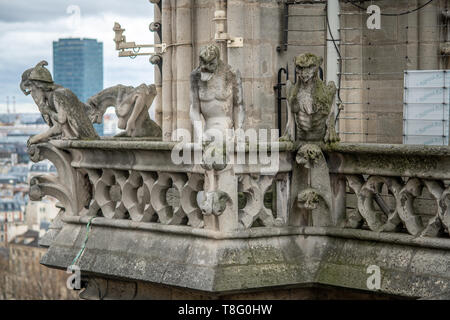 Wasserspeier auf die Kathedrale Notre Dame, Paris, Frankreich. Notre Dame - Paris, Frankreich Stockfoto