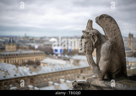 Wasserspeier auf die Kathedrale Notre Dame, Paris, Frankreich. Notre Dame - Paris, Frankreich Stockfoto