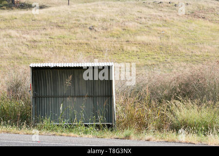 Eine einsame Leere Wellblech Bushaltestelle durch langes Gras umgeben, in der Nähe einer Koppel in regionalen New South Wales, Australien Stockfoto