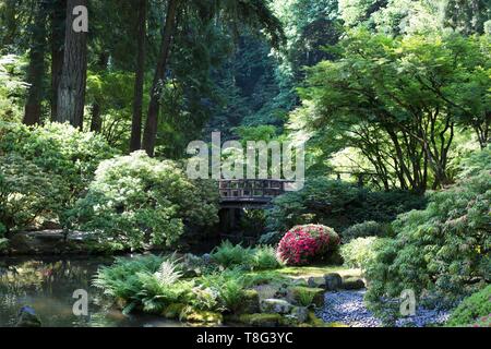 Eine Brücke über einen Bach, an der Portland Japanischer Garten in Portland, Oregon, USA. Stockfoto