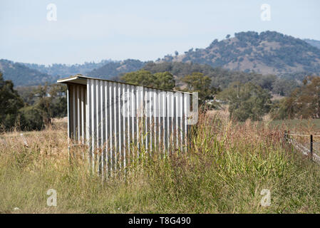 Eine einsame Leere Wellblech Bushaltestelle durch langes Gras umgeben, in der Nähe einer Koppel in regionalen New South Wales, Australien Stockfoto