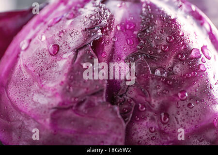 Rotkohl mit Wassertropfen, Nahaufnahme Reife Stockfoto