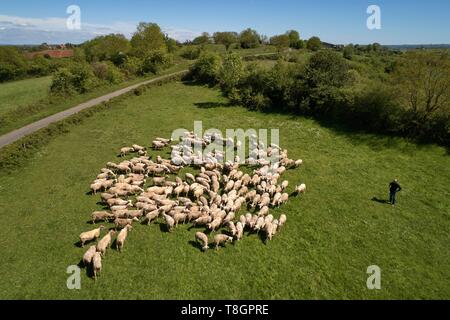 Frankreich, Aveyron Goutrens Laurent Foucras, Lamm Allaiton Züchter, Luftaufnahme Stockfoto