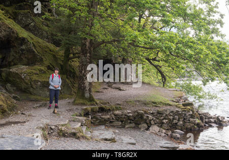 Ältere Frau zu Fuß rund um Lake Buttermere mit Rock tunnel im Hintergrund, Cumbria, England, Großbritannien Stockfoto