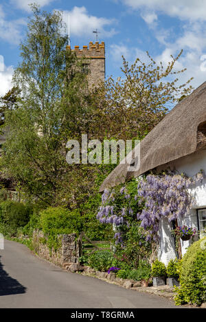 Ländliche Devon Szene, Doone cottage Dunsford, Bauernhof, Dorf, UK, Außen, Landschaft - Landschaft, weiß getünchten Cob auf Stein, cob und Stroh gerendert, Stockfoto