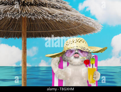 Cute shitzu Hund ausruhen und entspannen auf der Liege unter dem Dach mit Saft am Strand Ocean Shore, auf Sommer Urlaub Ferien. 3D-Rendering Stockfoto