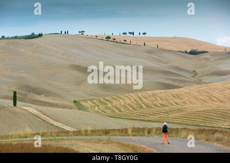 Italien, Toskana, Val d'Orcia als Weltkulturerbe von der UNESCO, Landschaft entlang der Via Francigena in der Nähe San Quirico d'Orcia Stockfoto