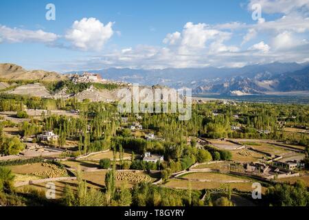 Indien, Bundesstaat Jammu und Kashmir, Himalaya, Ladakh, Indus Valley, das Kloster (gompa) von Matho auf seinem Felsvorsprung mit Blick auf die landwirtschaftlich genutzten Ebene von Matho Stockfoto