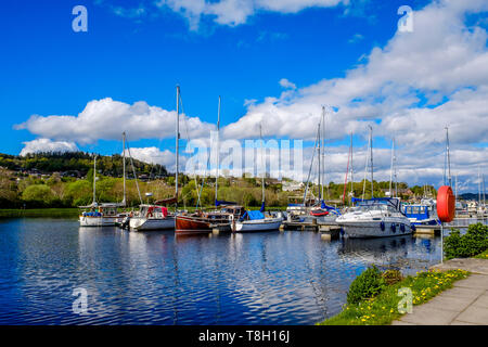 Yachten in der Marina auf dem Caledonian Canal in Inverness, Schottland verankert an einem Frühlingsmorgen. Stockfoto