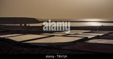 Salinas de Janubio an der Küste von Lanzarote auf den Kanarischen Inseln. Gewinnung von Meersalz. Sonnenuntergang Stockfoto