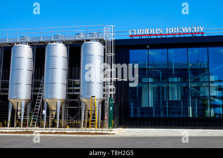 Curious Brauerei, Mikrobrauerei, ashford, kent, großbritannien Stockfoto