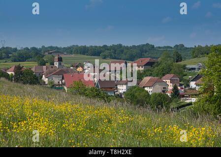 Frankreich, Doubs, Loue Tal, Wiese vor dem Dorf von Besançon, in der Quelle der Loue Stockfoto