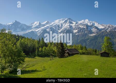 Frankreich, Haute Savoie, Chamonix, Les Houches, roten Zeigern massiv, Dp und Chalets von Samoteux und das Mont Blanc Massiv zu Beginn des aiguilette des Houches Trek Stockfoto