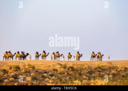 Indien, Rajasthan, Osiyan (oder Osian), das Tor zur Wüste Thar, Kamelritt Stockfoto