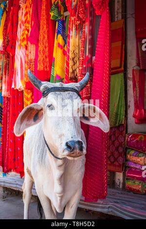 Indien, Rajasthan, Osiyan (oder Osian), das Tor zur Wüste Thar Stockfoto
