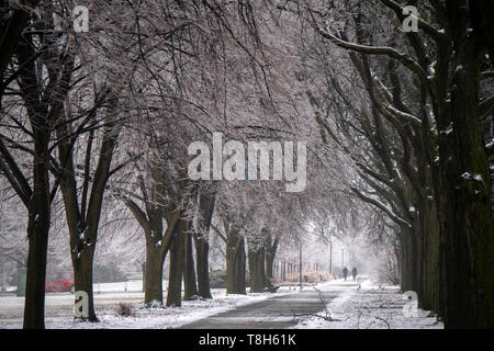 Zwei Menschen zu Fuß im Schnee, Chicago, Illinois, United States Stockfoto