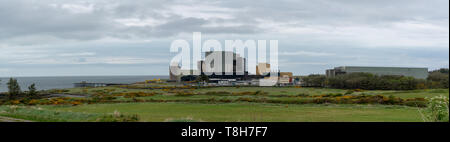 Wylfa power station, Anglesey Stockfoto