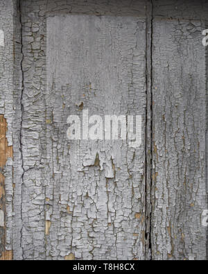 Risse im Verwitterten weiß lackierter Holzplatte Textur Stockfoto