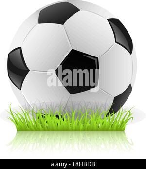 Fußball auf dem Rasen Stock Vektor