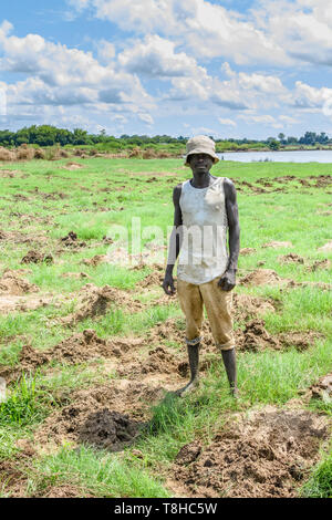 In einem Gebiet von Malawi von Überschwemmungen nach Zyklon ein Mann replants in seinem Feld Mais in der Nähe des Shire Flusses Stockfoto