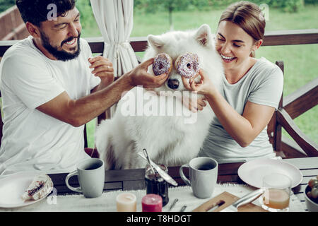 Glühende paar Spaß mit ihren weißen cute big dog Stockfoto