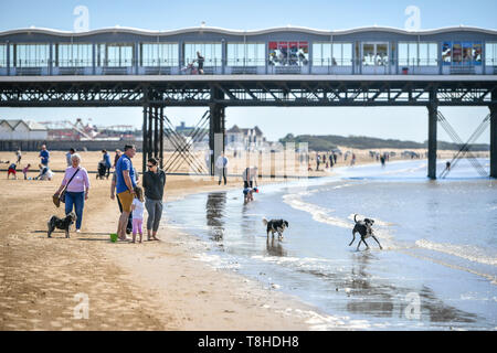 Menschen besuchen den Strand mit ihren Hunden in Weston-super-Mare, wo die Menschen das warme Wetter genießen können. Stockfoto