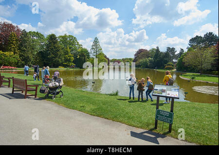 Massen von Menschen genießen den Sonnenschein an burnby Hall Gardens, Pocklington, East Riding von Yorkshire, England, UK, GB. Stockfoto