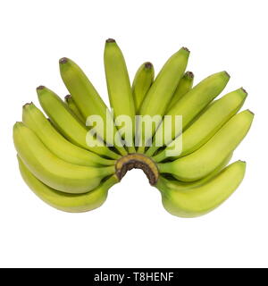 Cluster von Biobananen isoliert auf einem weißen Hintergrund. Stockfoto