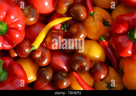 Sortierte Tomaten, rote Glocke und Peperoni Stockfoto