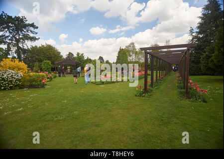 Massen von Menschen genießen den Sonnenschein an burnby Hall Gardens, Pocklington, East Riding von Yorkshire, England, UK, GB. Stockfoto