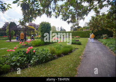 Massen von Menschen genießen den Sonnenschein an burnby Hall Gardens, Pocklington, East Riding von Yorkshire, England, UK, GB. Stockfoto