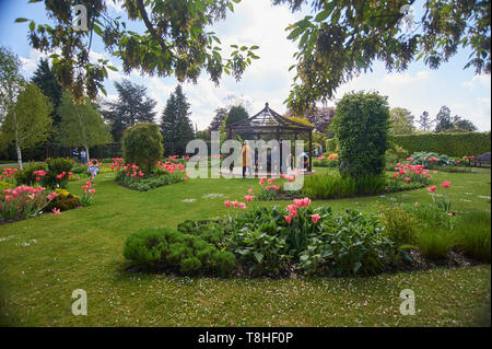 Massen von Menschen genießen den Sonnenschein an burnby Hall Gardens, Pocklington, East Riding von Yorkshire, England, UK, GB. Stockfoto