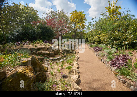 Burnby Hall Gardens, Pocklington, East Yorkshire, England, UK, GB, Stockfoto