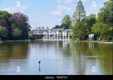 Die Menschen genießen den Sommer Sonnenschein auf dem Gelände des Burnby Hall, Pocklington East Yorkshire, UK, GB. Stockfoto