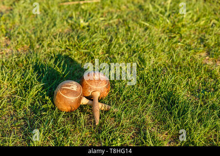 Kubanische maracas liegen auf dem grünen Rasen. Traditionelles Musikinstrument aus natürlichen Materialien Stockfoto